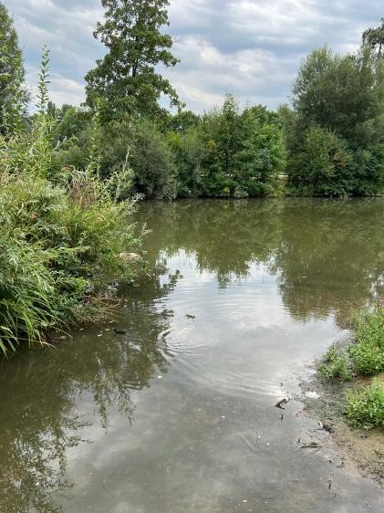 Fluss Rems in Waiblingen mit Niedrigwasser